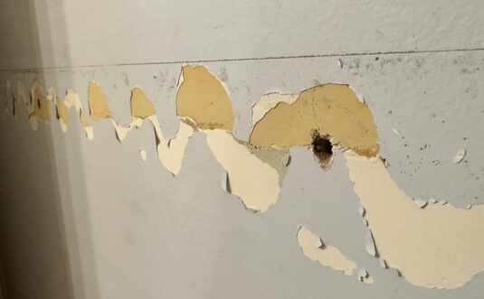 The Best Paint Colors for Creating Cozy, Comfortable Spaces